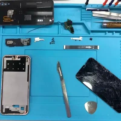 CaseStore.bg