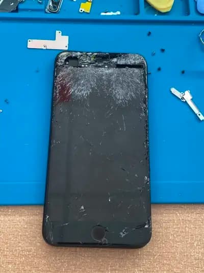 GSM service byala