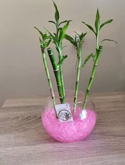 Магазин за цветя и сувенири Усмивка