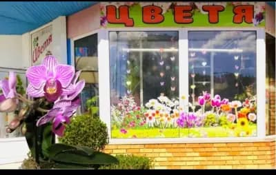 Магазин "Холис"
