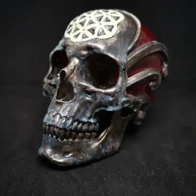 Luxury Skulls