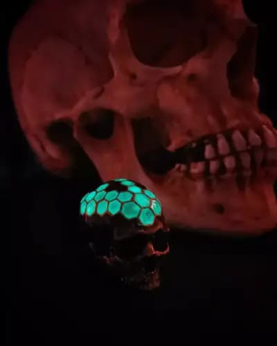 Luxury Skulls