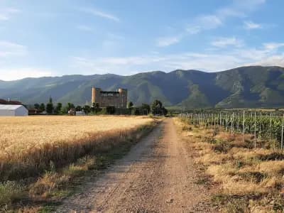 Chateau Copsa Комплекс