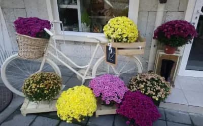 Ателие Фантазия Бургас