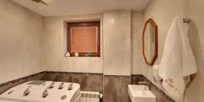 Holistic Gallery Rudraaksha