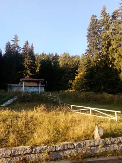 Платен паркинг