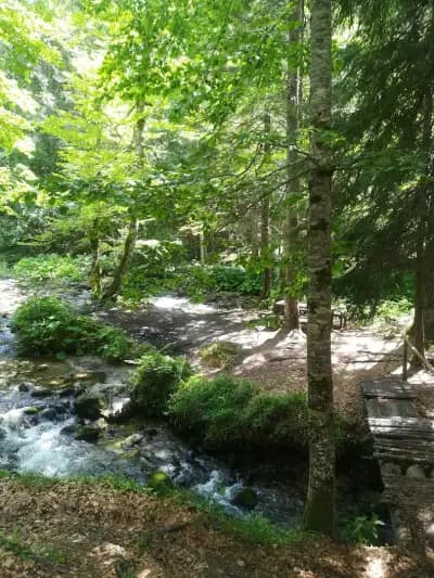 Кирилова поляна