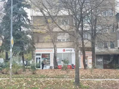 Спиди