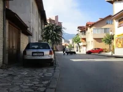 СПИДИ Разлог