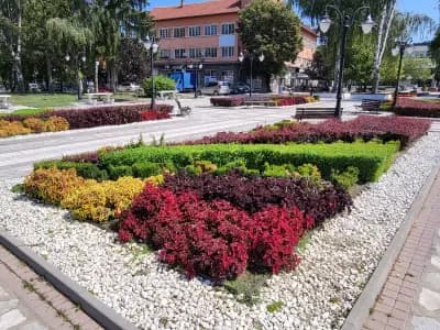 Общински пазар