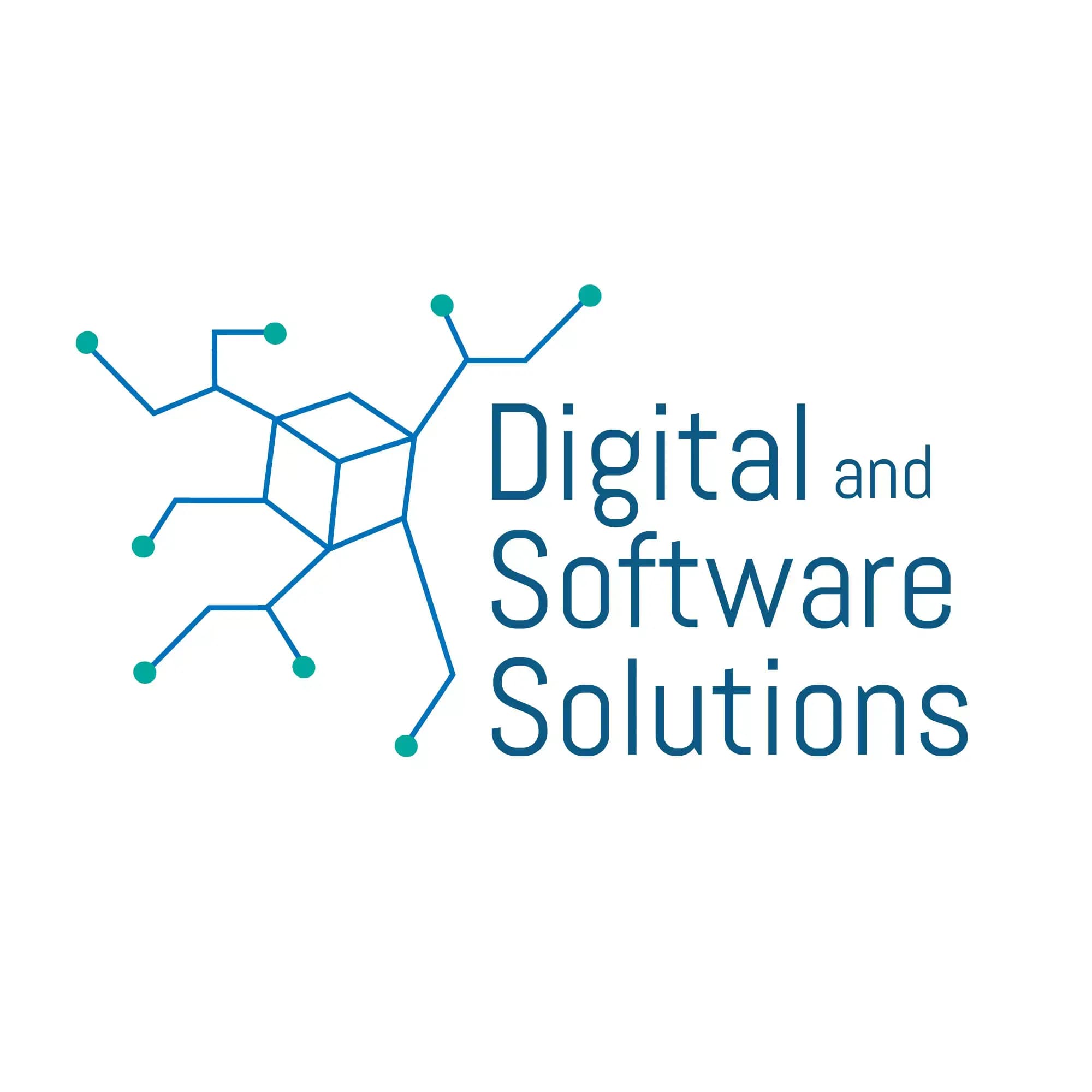 DSS - Digital and Software Solutions ltd.