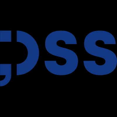 DSS - Digital and Software Solutions ltd.