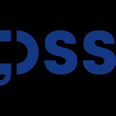 DSS - Digital and Software Solutions ltd.