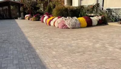 Фирма за озеленяване и ландшафтен дизайн Amazing Gardens