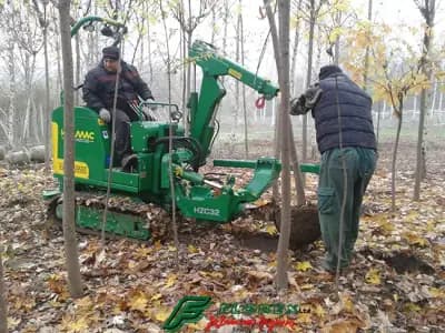 Озеленяване и производство на декоративна растителност от Флорекс ЕООД