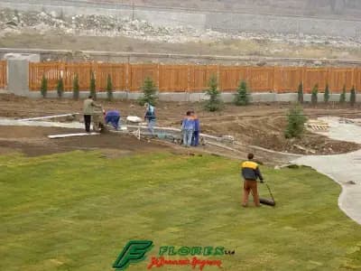 Озеленяване и производство на декоративна растителност от Флорекс ЕООД
