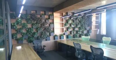 Тобо - Антон Григоров