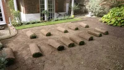 GREEN At HOME