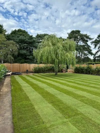 GREEN At HOME
