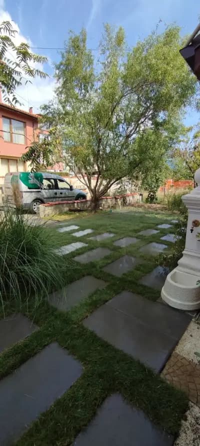 SEASIDE GARDEN LTD