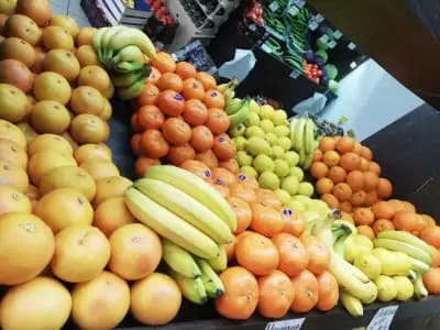Лонг фреш трейд ЕООД