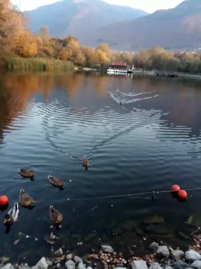 Ресторант "Езерото" парк "Рила"