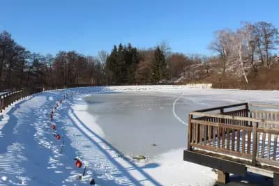 Ресторант "Езерото" парк "Рила"