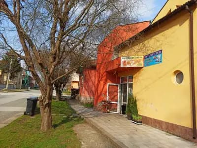 Компютърни услуги гр.Белене