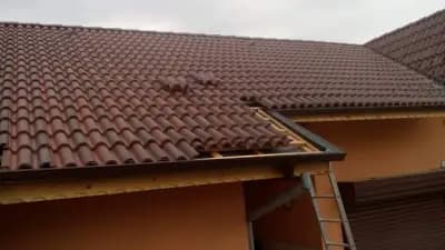 Безшевни улуци Плевен
