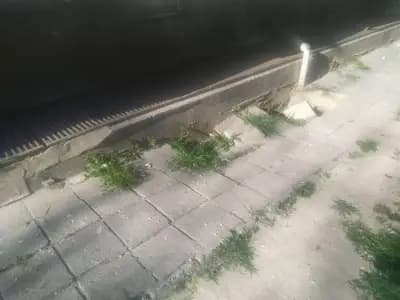 Домоуправител Варна