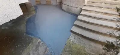 Домоуправител Варна