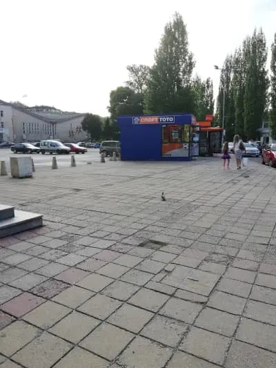 СПОРТ ТОТО