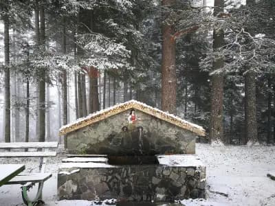 Hunting Residence Lodge