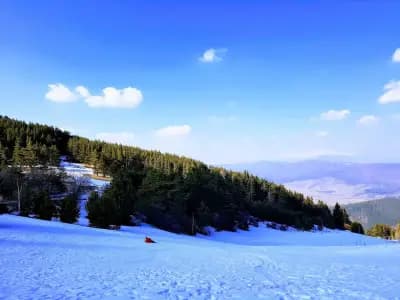 Hunting Residence Lodge