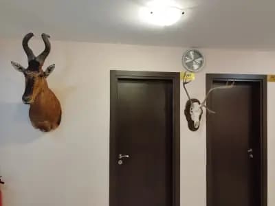 Hunting Residence Lodge