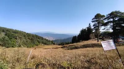 Hunting Residence Lodge