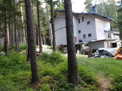 Algara hut