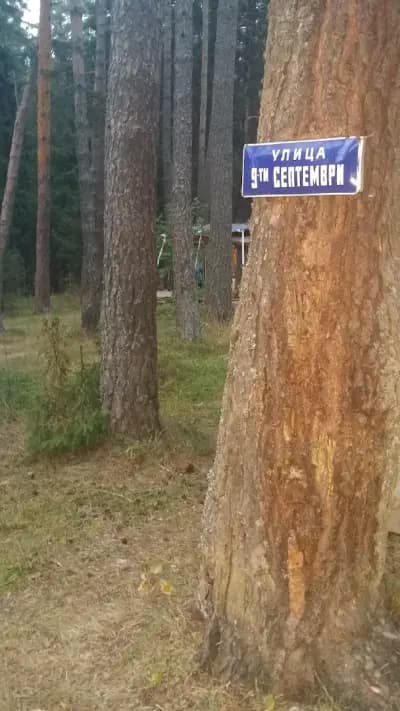 Инвикта