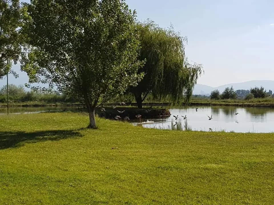 Ловна хижа кв. Челопечене