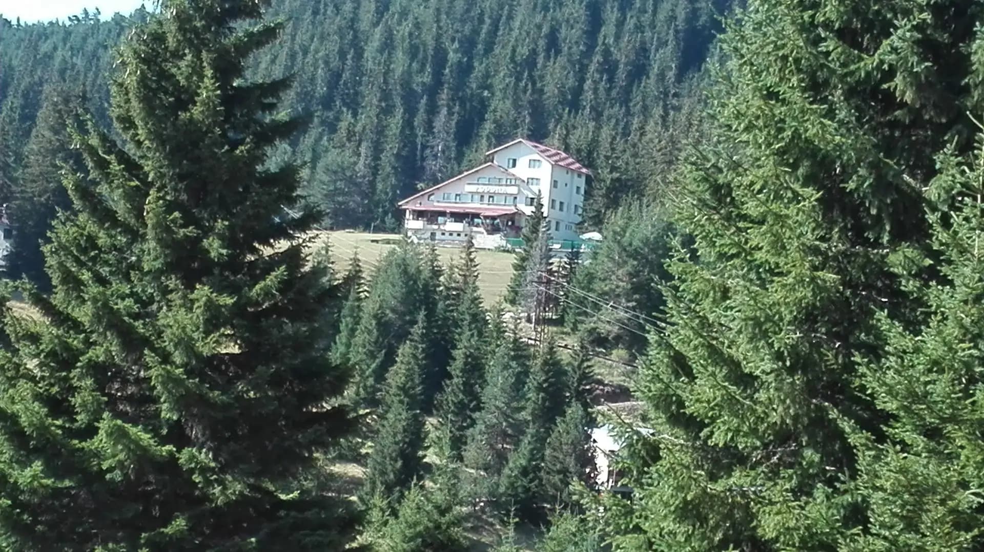 Картала