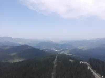 Картала