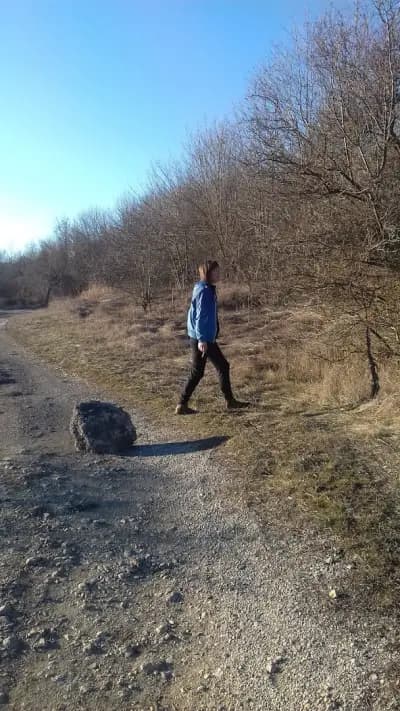 хижа Пчелина