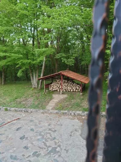 хижа Пчелина
