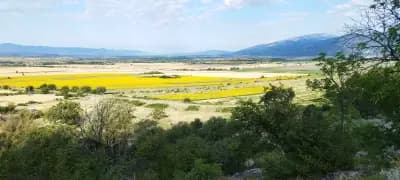 Крънска бара