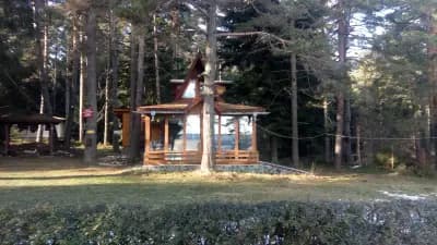 Вилно Селище Тракия