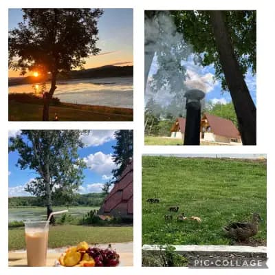 Вили Янкови