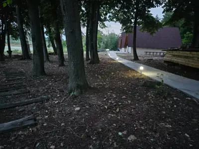 Вили Янкови