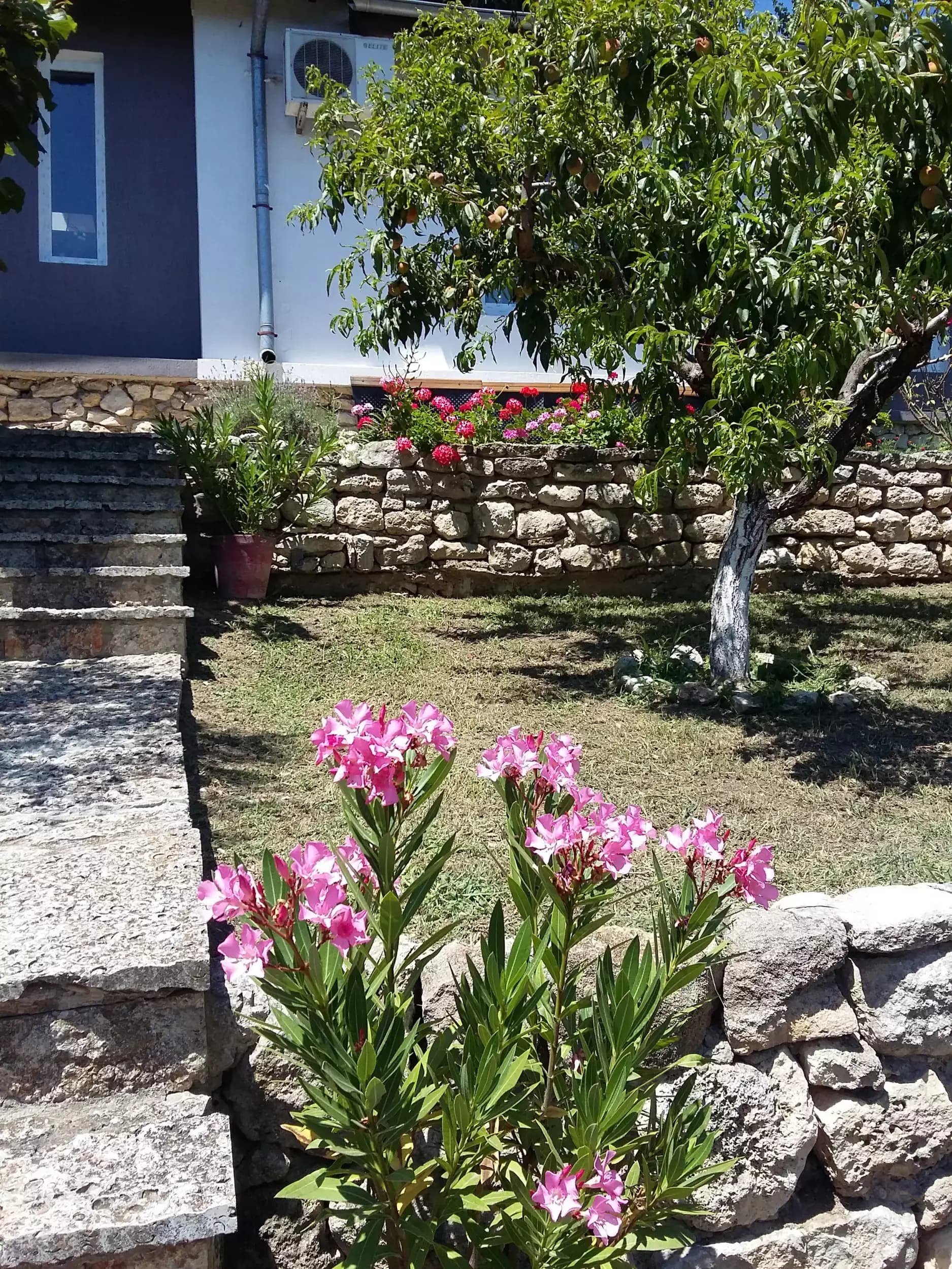 Villa Sunny Day