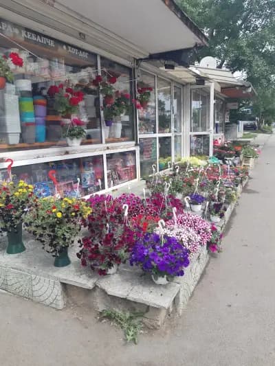 БМ Маркет