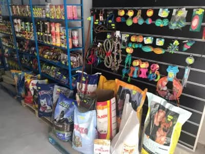 PetLab Store